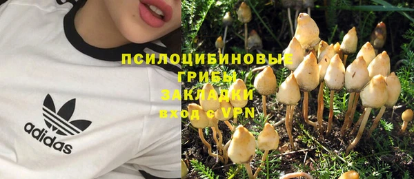 гидра Вязники