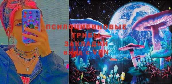 гидра Вязники
