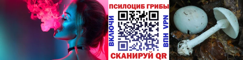 Купить закладки Тбилисская Псилоцибиновые грибы Psilocybine cubensis